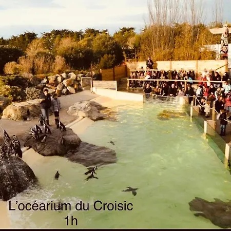 De Saint Clair Avec Vue Panoramique Дом отдыха Plesse