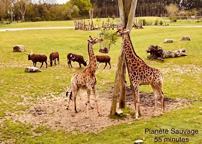 De Saint Clair Avec Vue Panoramique Holiday home *
