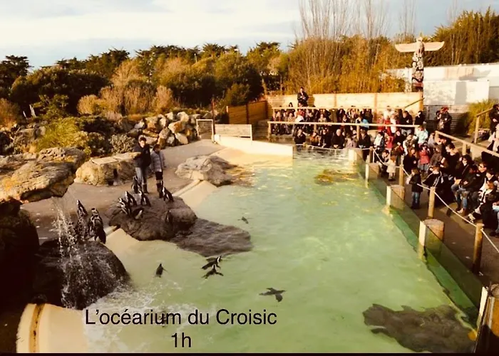 De Saint Clair Avec Vue Panoramique Дом отдыха Plesse